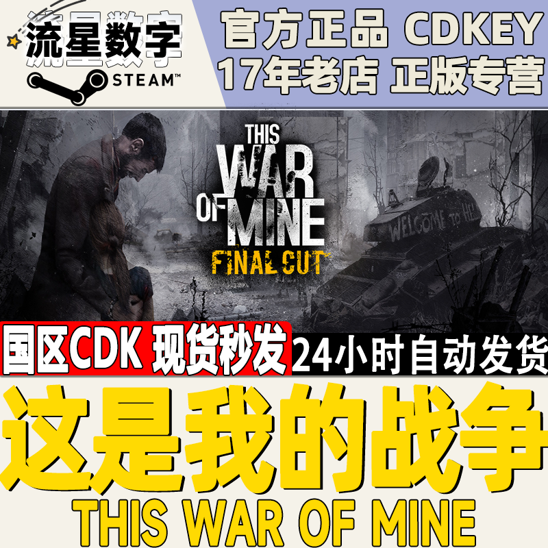 steam国区KEY 这是我的战争This War of Mine  激活码现货秒发CDK