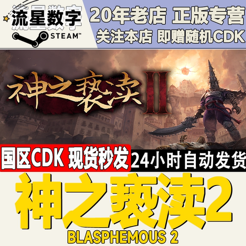 Steam神之亵渎2国区KEY现货