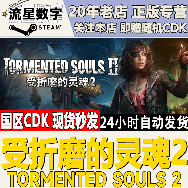 Steam受折磨的灵魂2CDKEY