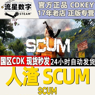 人渣激活码 SCUM 人渣 Steam正版 人渣CDKEY 国区KEY 人渣全球CDK