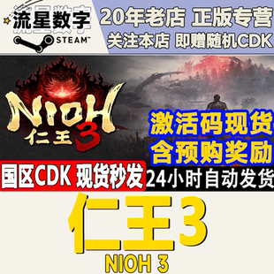 Steam正版国区KEY 仁王3 Nioh3 国区激活码 现货秒发