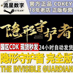 Steam正版国区KEY 隐形守护者 完整版 激活码现货秒发