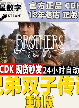 Steam正版国区KEY 兄弟双子传说 重制版 重置版 激活码CDKEY现货