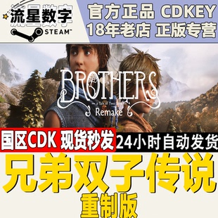 国区KEY 激活码 兄弟双子传说 重置版 CDKEY现货 重制版 Steam正版