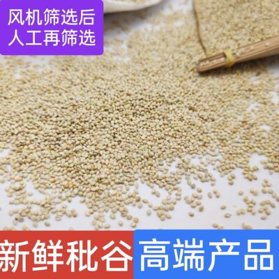 新鲜秕谷枕头天然枕芯填充物谷秕子谷瘪子儿童成人颈椎内胆填充物