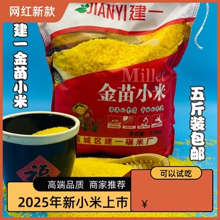 马庄建一金苗小米新鲜黄小米宝宝新米坐月子米小黄米新米五谷杂粮