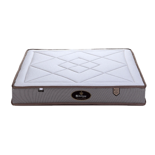 【线下同款】eclipse/美国伊丽丝记忆棉弹簧分区护脊床垫阿波罗