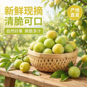 四川青脆李脱骨李子5斤酸甜脆爽