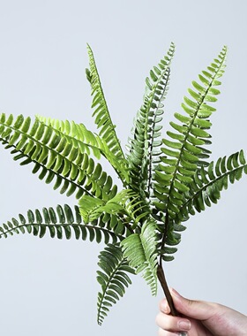 波斯顿叶波斯蕨波斯草仿真绿植软装造景家居装饰植物盆栽摆件假草