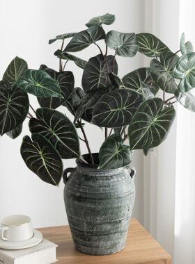仿真绿植海芋叶龟背叶ins风高端盆栽家居室内插花龙鳞观叶假植物