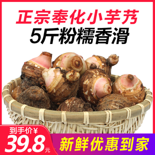 新鲜红梗小芋头宁波奉化特产芋艿头溪口正宗农家蔬果 5斤装非荔浦