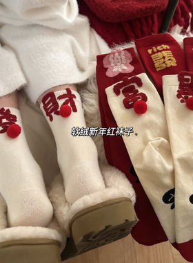 2025新年袜子女发财红色加厚保暖马年礼物喜庆本命年大红中筒袜DF
