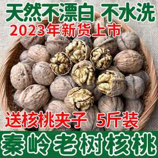 秦岭老树核桃2023新货薄皮新鲜干核桃原味黑桃非纸皮孕妇专用坚果