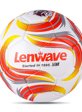 兰威5号足球儿童中小学生训练比赛考试专用运动练习耐磨0564标准
