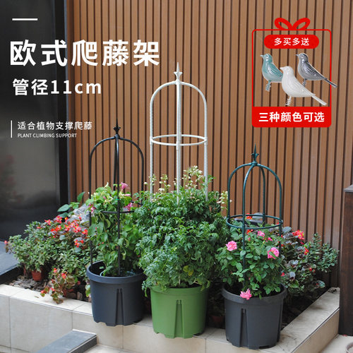 欧式高端绿植花卉园艺阳台月季