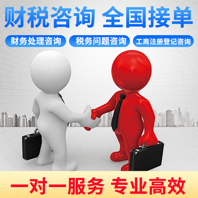 税务咨询 税收筹划做账报税个人所得税汇算清缴优惠政策一对一