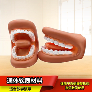 牙齿模型口腔教学牙科仿真教具幼儿园护理学刷牙医学儿童发音演示