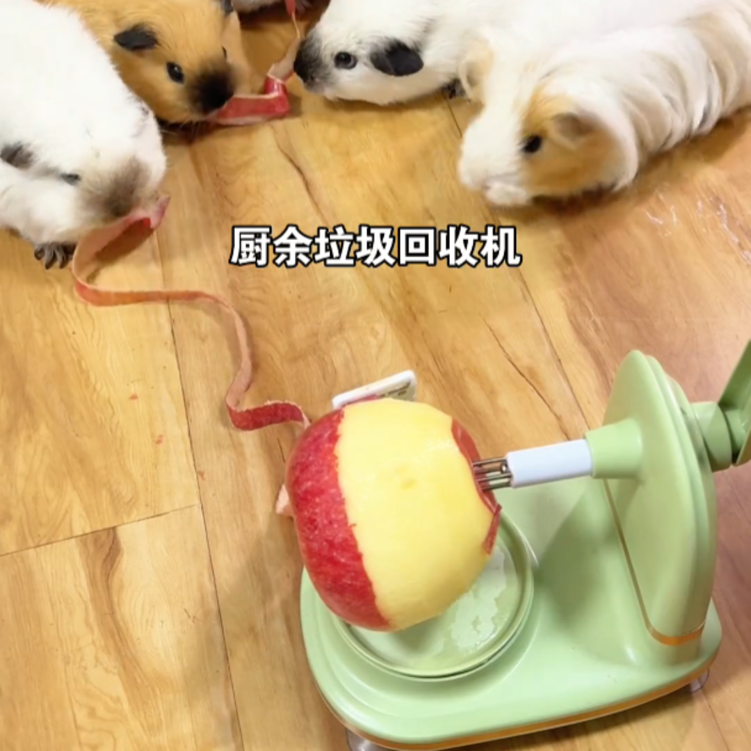 削苹果神器家用手摇削水果削皮器多功能去皮机全自动削皮刀刮皮器