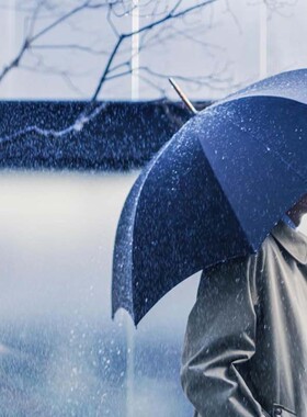 英国fox umbrella复古轻奢长柄伞foxumbrella手工木柄贵族雨伞