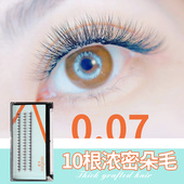 初学者自己种植单株10根开花细软自然翘仿真网红款 嫁接浓密朵毛