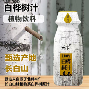 100%纯白桦树汁植物饮料原汁解渴火锅解腻饮品清爽甘冽瓶装整箱