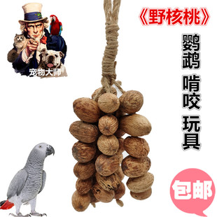 宠物大师鹦鹉玩具鸟大串积木野核桃灰机葵花金刚啃咬玩具 /W0013