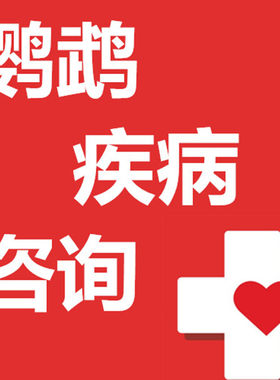 鹦鹉鸟类生病拉稀资深大夫专业