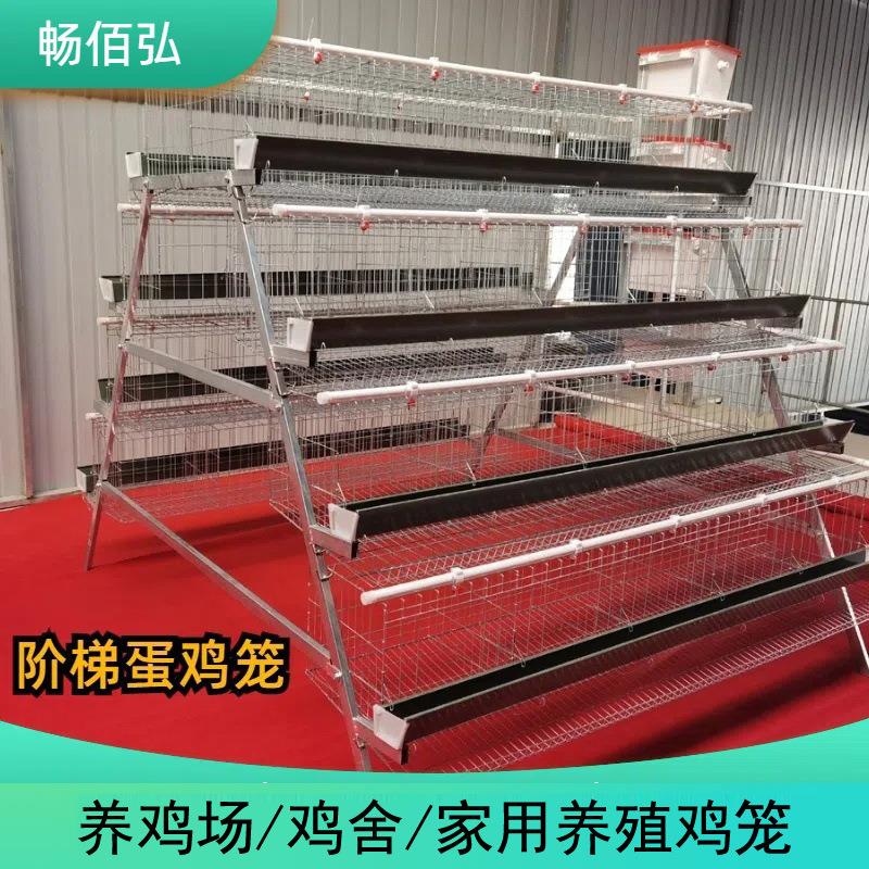 蛋鸡笼四层五窝用热镀丝鸡笼养殖笼养殖设备阶梯A型三层四层