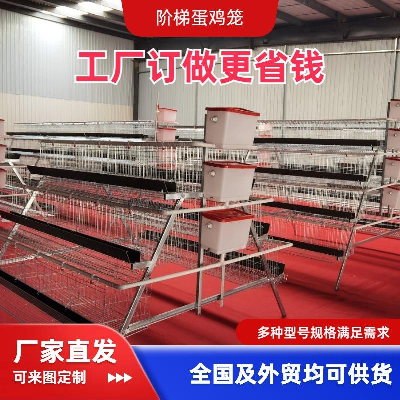 多层阶梯型蛋鸡笼三层四层养殖笼厂家鸡舍养殖设备厂家可外贸