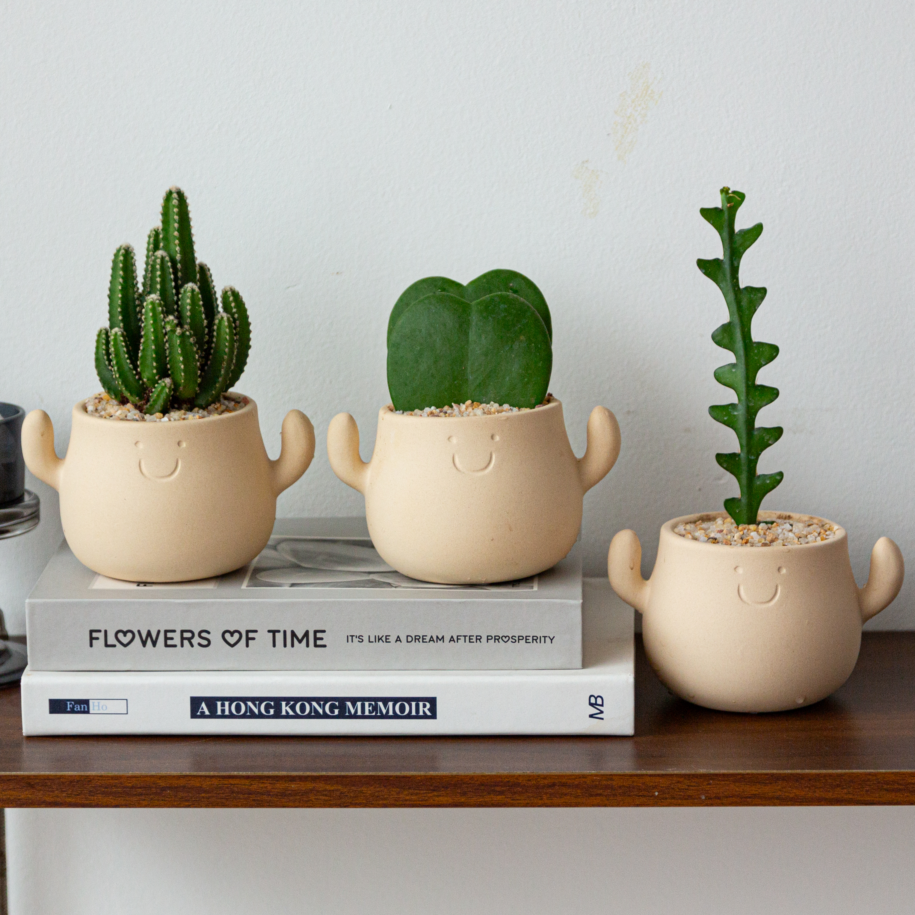 多肉植物仙人掌小盆栽办公室桌面绿植创意礼物摆件幼儿园耐旱好养