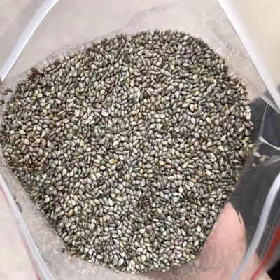 汕尾海丰陆河手洗脱壳生芝麻 擂茶咸茶配料黑芝麻 陆丰陆河芝麻50