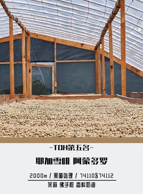 SOR单一源咖啡 TOH第五名 耶加雪啡 阿蒙多罗 单品手冲豆150g