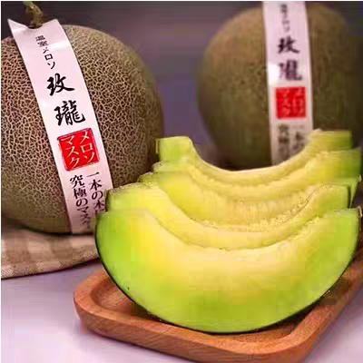新鲜水果现货静玫陇蜜瓜2粒装海南玫珑网纹蜜瓜梅珑多地包邮