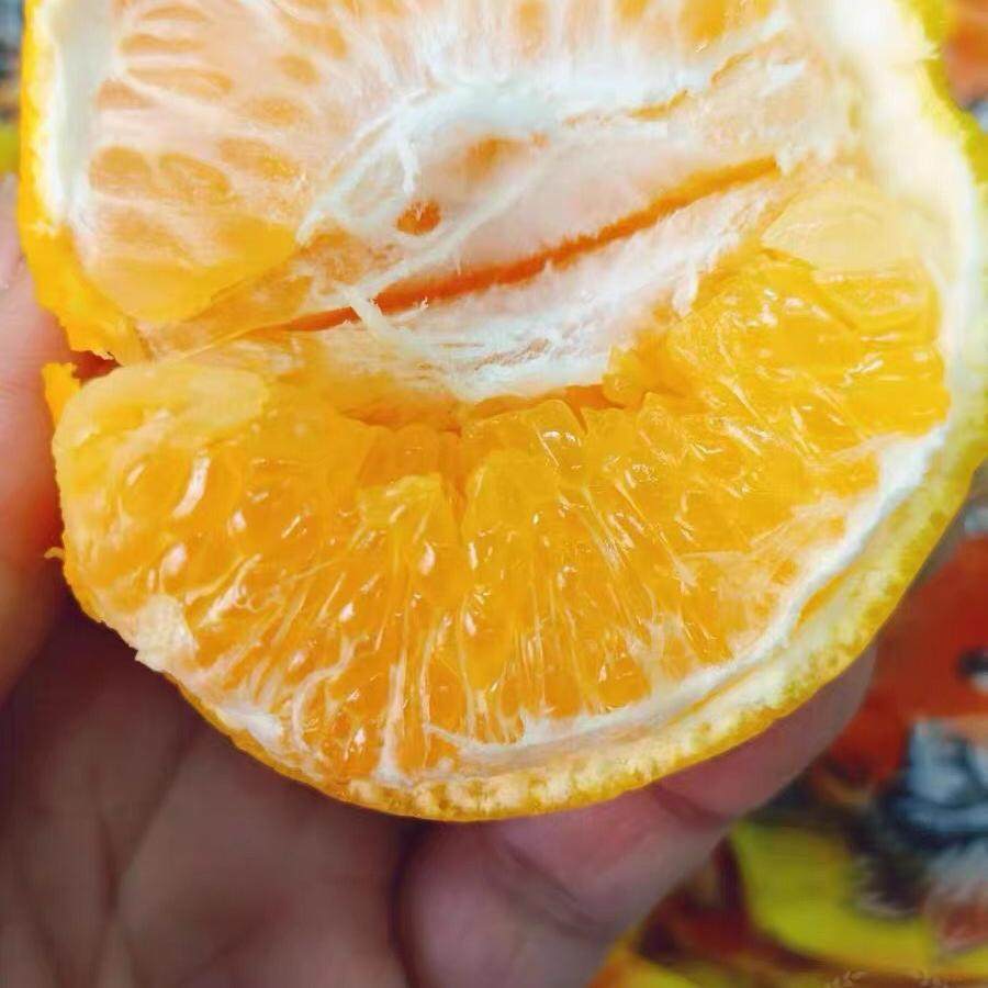 新鲜水果安氏柑媛虎头丑橘粑粑柑橘子甜桔子7斤小框多地顺丰包邮,水产肉类/新鲜蔬果/熟食,桔子,淘宝优惠券,粉丝福利购,淘宝优惠卷