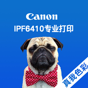 洗照片 冲洗照片 相纸打印相片 数码晒照片 相片冲印