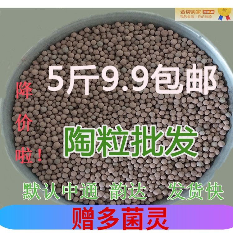 陶碳球 负离子无土植栽多肉陶粒球盆栽盆景水培花卉装饰覆盖包邮|msdalam kategori penghantaran bunga/bunga simulasi/tumbuhan berkebun, Gardening Supplies, Peralatan Perkebunan lain - dari Buy2taobao.com untuk memberikan perkhidmatan ejen Taobao profesional membeli