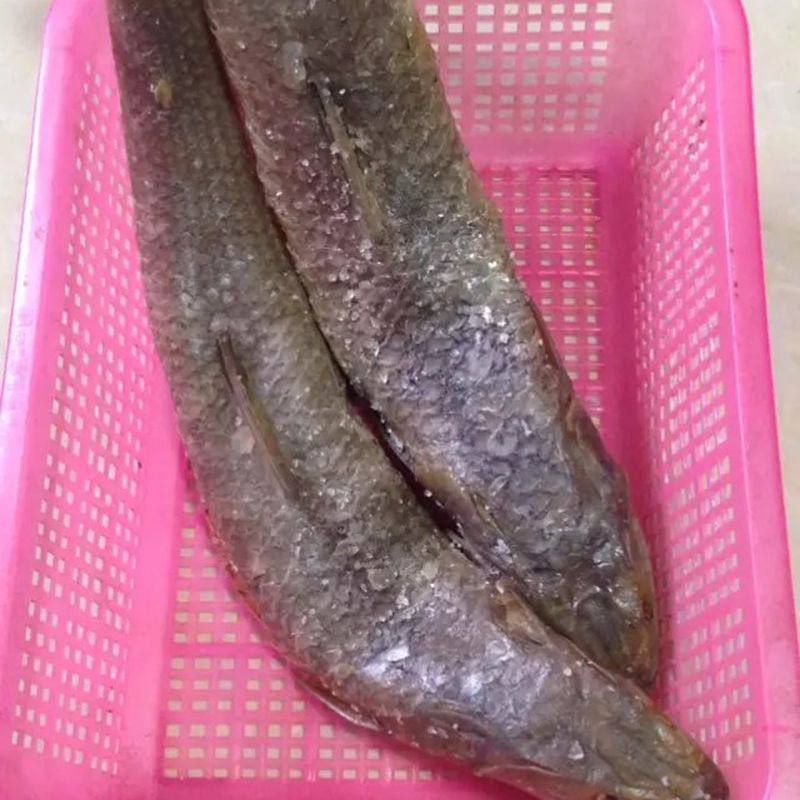 阳江特产大乌九棍自家鱼船捕捞 梅香大乌一夜埕九棍