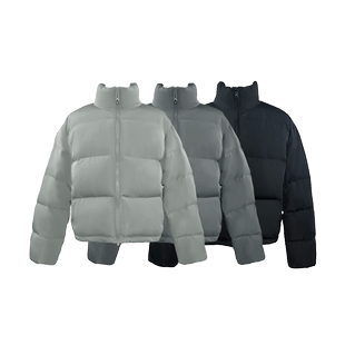 RCTNCLUB 三色基础新国标90白鸭绒立领短宽Boxy羽绒服320克