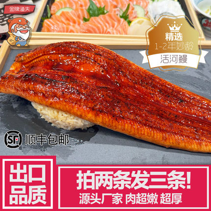 买2送1同款出口级蒲烧日式烤饭寿司料理400g肉厚即食顺丰鳗鱼河鳗