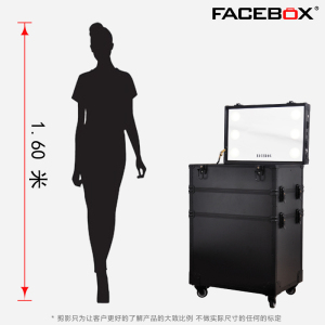 FACEBOX专业双层大号化妆箱带灯