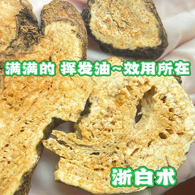 多年生白术，才会集聚满满的油点，无油则生长年限不足，作用微弱