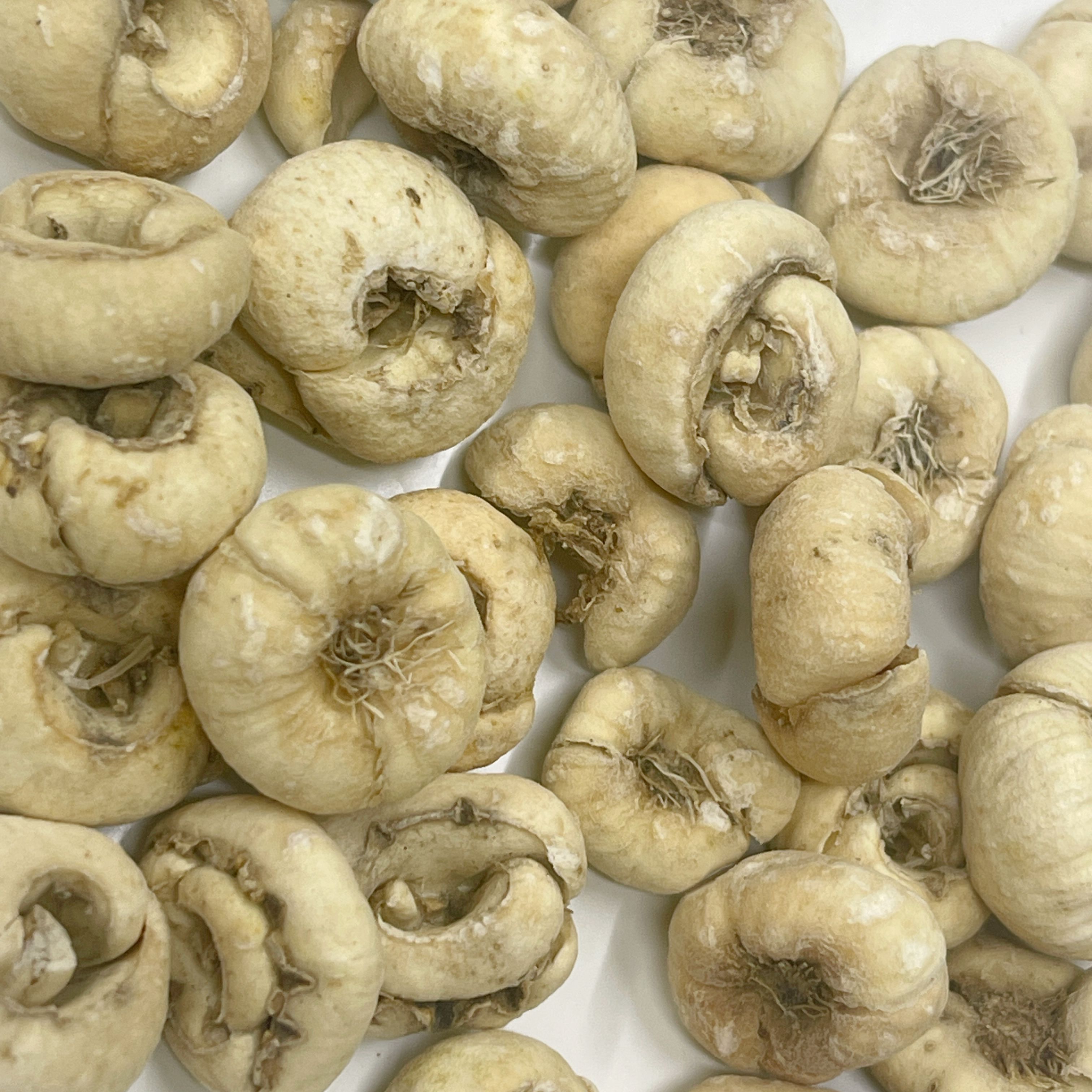 长白山·贝母  平贝温和适合孩子们，打粉后 炖雪梨润肺Z咳还好吃