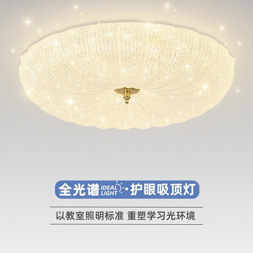 卧室灯满天星吸顶灯轻奢温馨现代