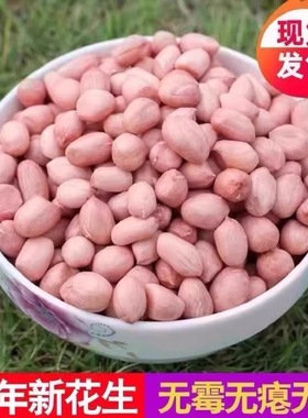 河南白沙花生米25年农家新货不带壳大颗粒新鲜粉皮花生仁散装精选