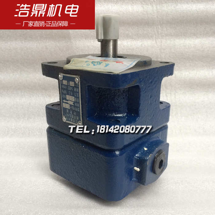 YB1-100 M7130平面磨床叶片泵 定量单联叶片泵YB1-6.3 五金/工具 其他机械五金（新） 原图主图