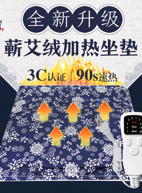 蕲艾绒坐垫电加热艾草养生热敷包毯座垫理疗仪办公室臀部艾灸垫子