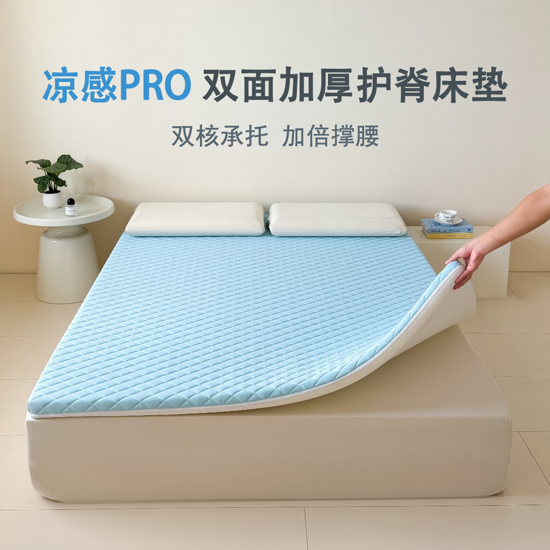 冬夏两用海绵床垫护脊护腰垫家用床垫/床褥/床护垫/