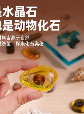 新版恐龙挖宝盲盒香皂琥珀宝石男