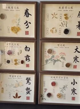 二十四节气标本药食同源药材标本大尺寸饰品创意展示板高颜值石头