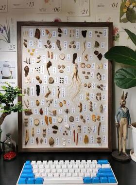 成品材标本框标本画中医手工摆件装饰画标本墙定制展示框
